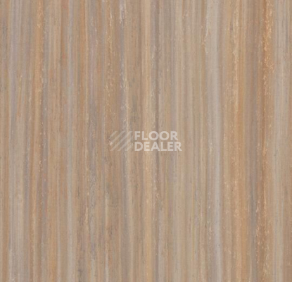 Кварцвиниловые полы Forbo Marmoleum Modular t5225 compressed time фото 1 | FLOORDEALER
